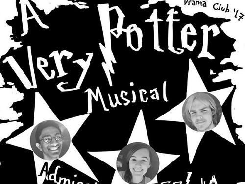 Review: A Very Potter Musical