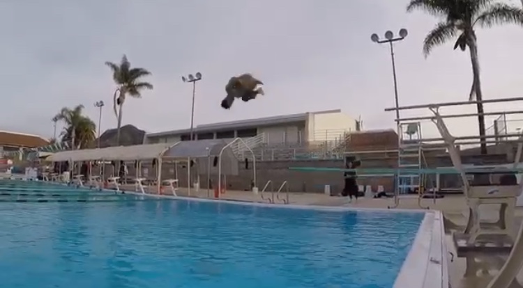 Sophomore Patrick Reichmuth Dives Into Diving