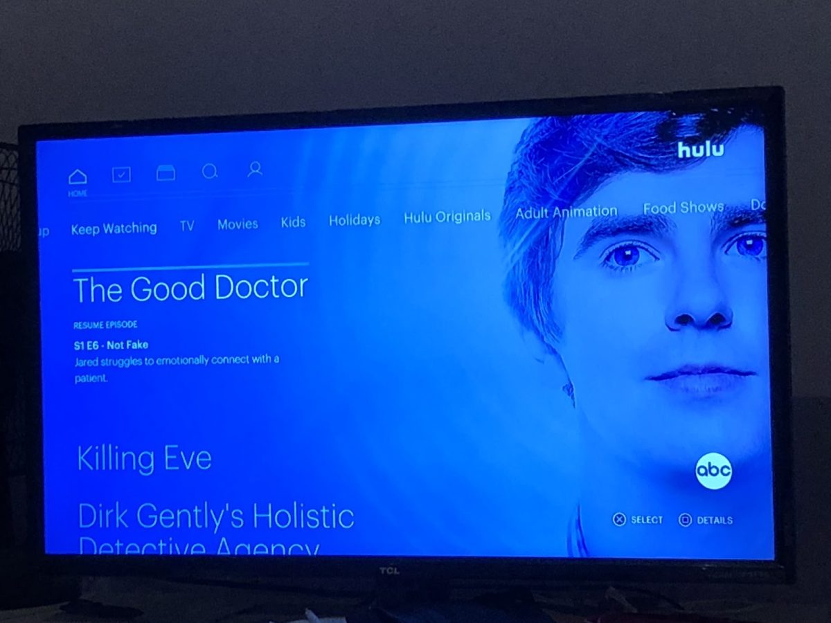 A review of “The Good Doctor”