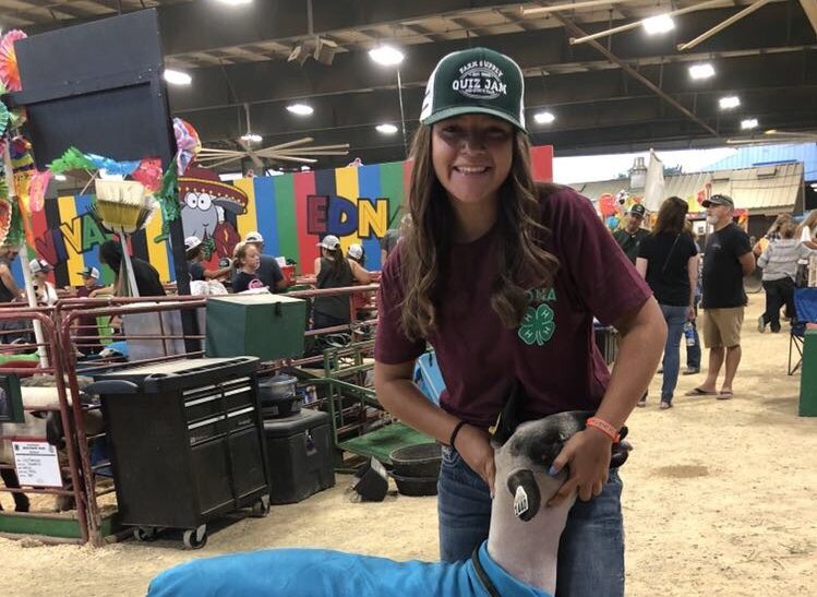 Mid State Fair for 4H and FFA Students
