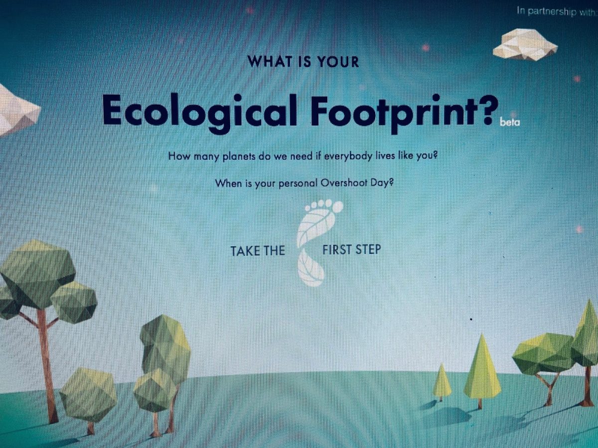 Reduce Your Ecological Footprint This Summer