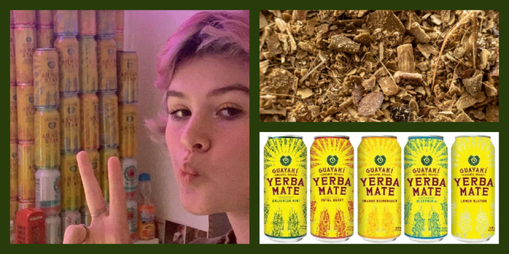 Yerba Mate is part of the SLOHS student Lifestyle