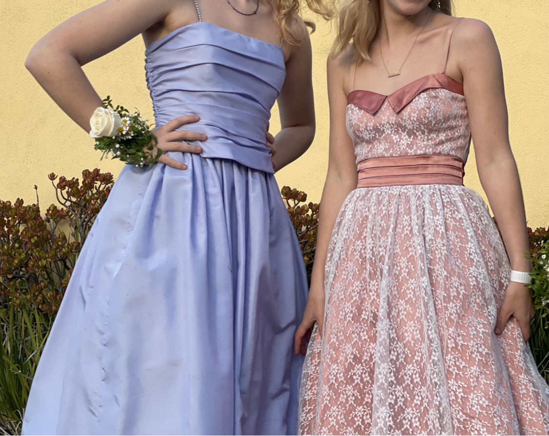 The+Search+for+the+Perfect+Prom+Dress%3A+Why+Buying+Secondhand+is+Better.