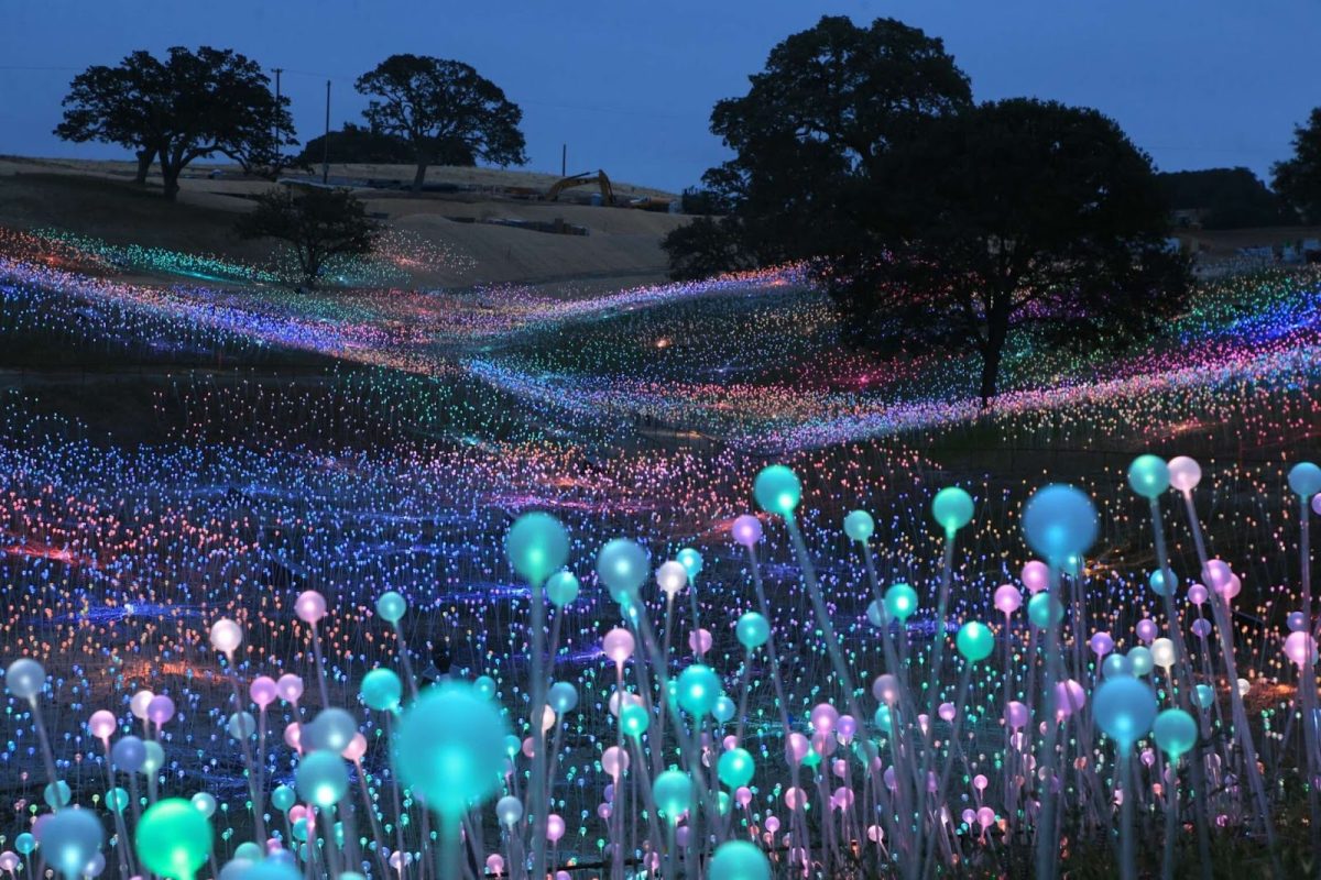 Paso Robles is Now Home to the Biggest Field of Light!  Check it out