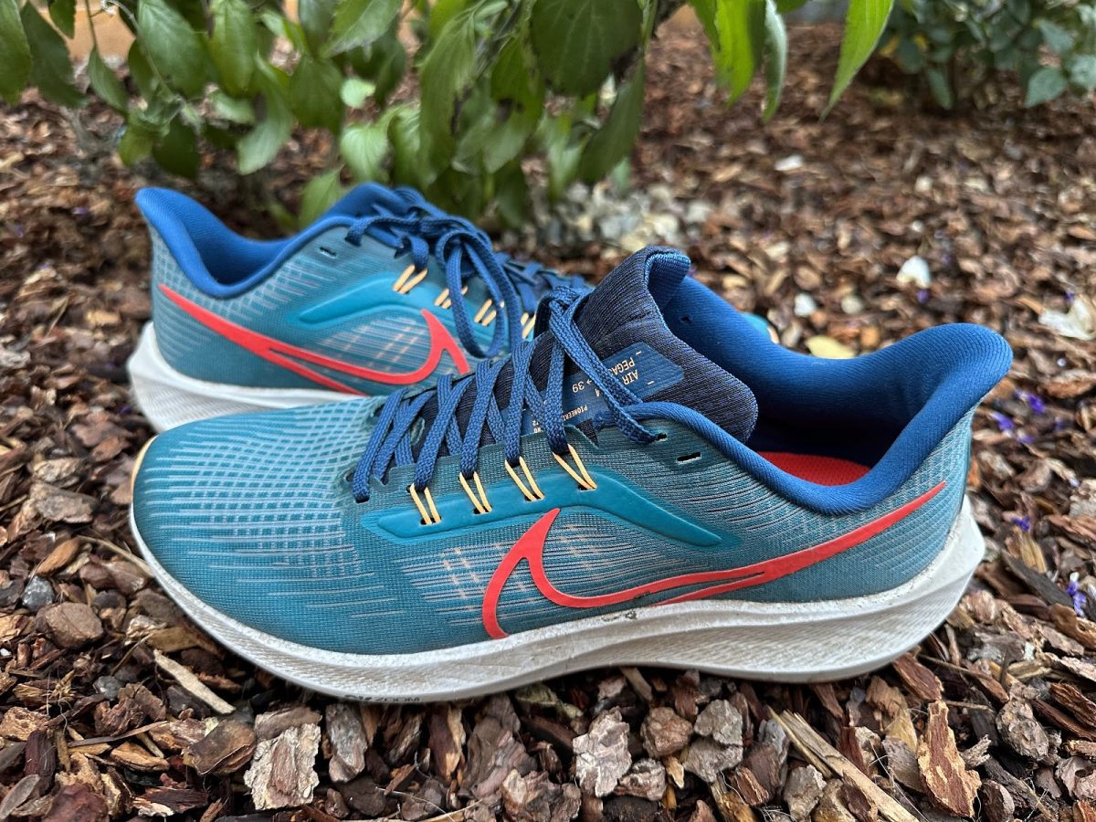 2022’s best running shoe: the Pegasus 39s