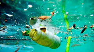 La Contaminación marina es un Problema Creciente.