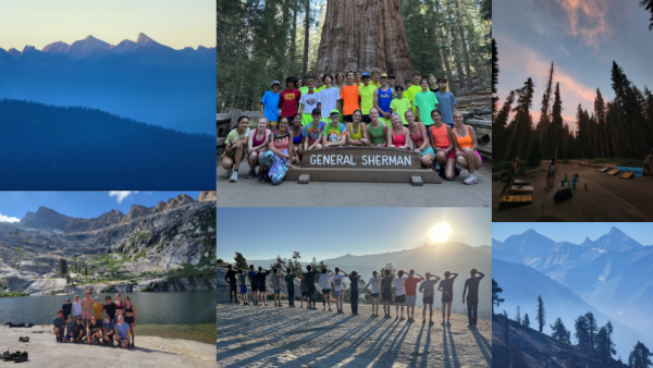 SLDC Sequoia Running Camp: The Most Granola Kids at Our School Spend Their Summer Here