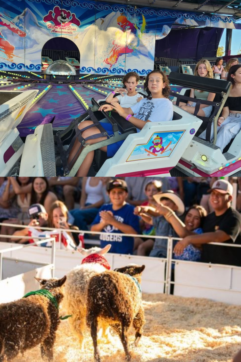 Roller Coasters and Goats: the Best parts of the Mid-State Fair should be Experienced