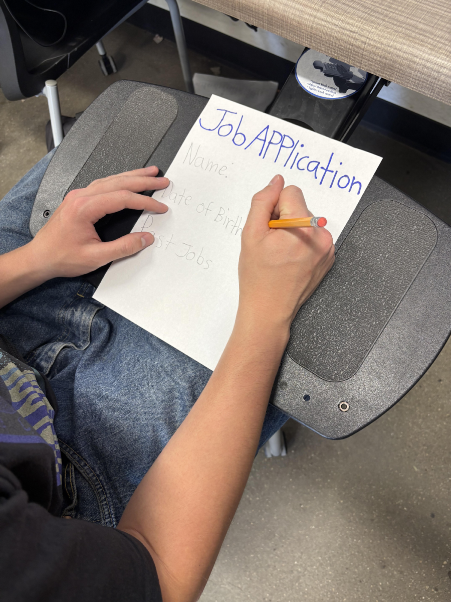 Where are SLOHS Students Working during this summer?