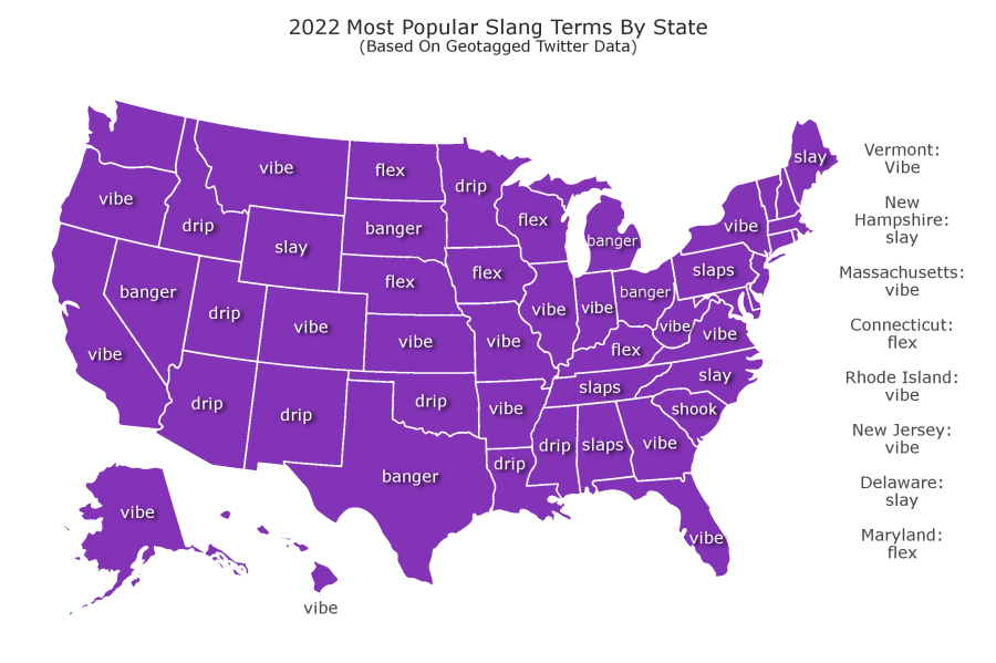 What Slang Do SLOHS Students Use?