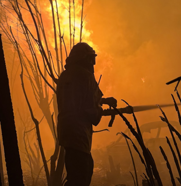 LA Wildfires Ravage Over 30,000 Acres