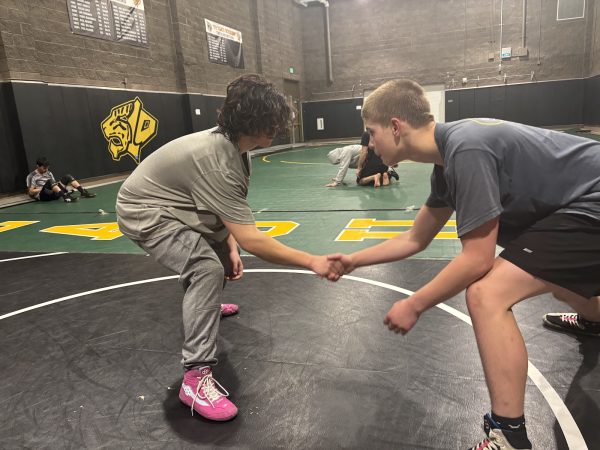 Wrestling Is Past the Season. What Is the Aftermath of CIF?