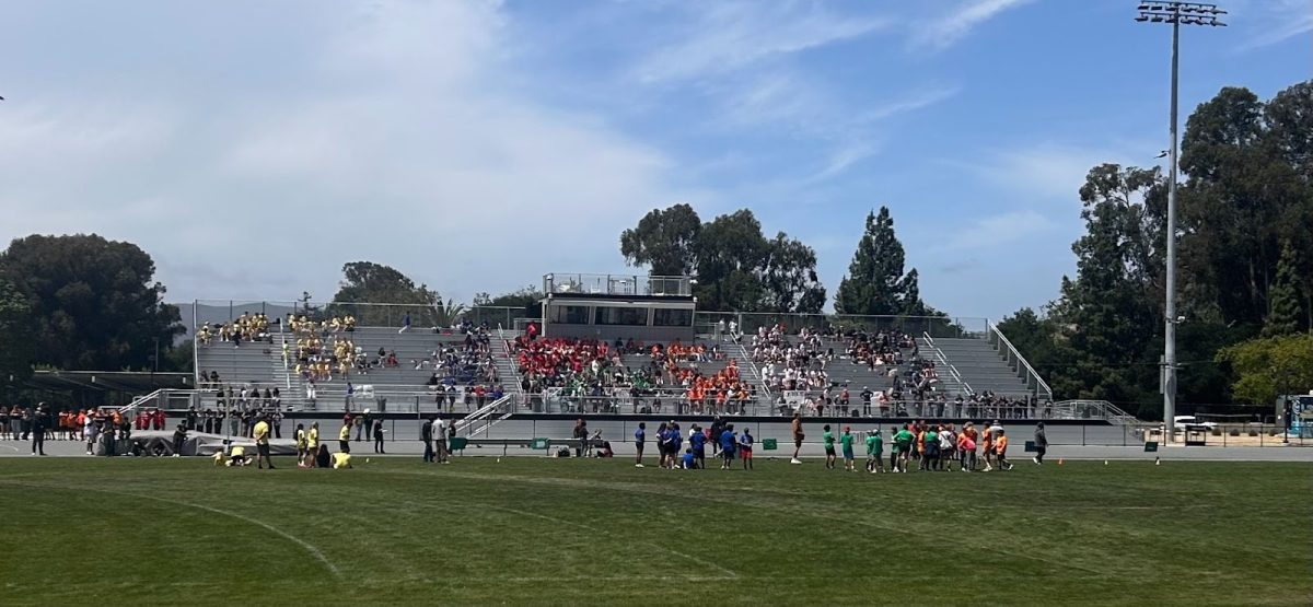 Tiger Olympics was a Huge Success!