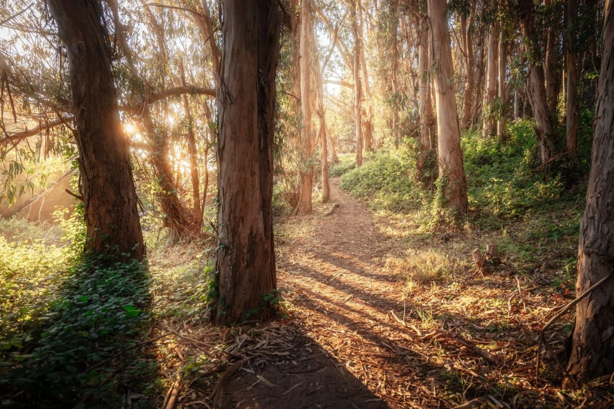 Bored? Check Out Some Of These Nature Spots Here In SLO County!