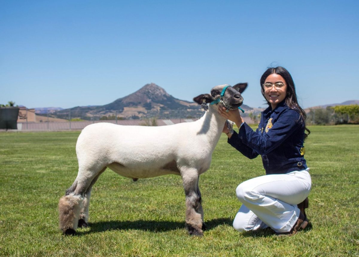 SLOHS Senior Natalie Beauvis Prepares Her Animals for Upcoming California Mid State Fair