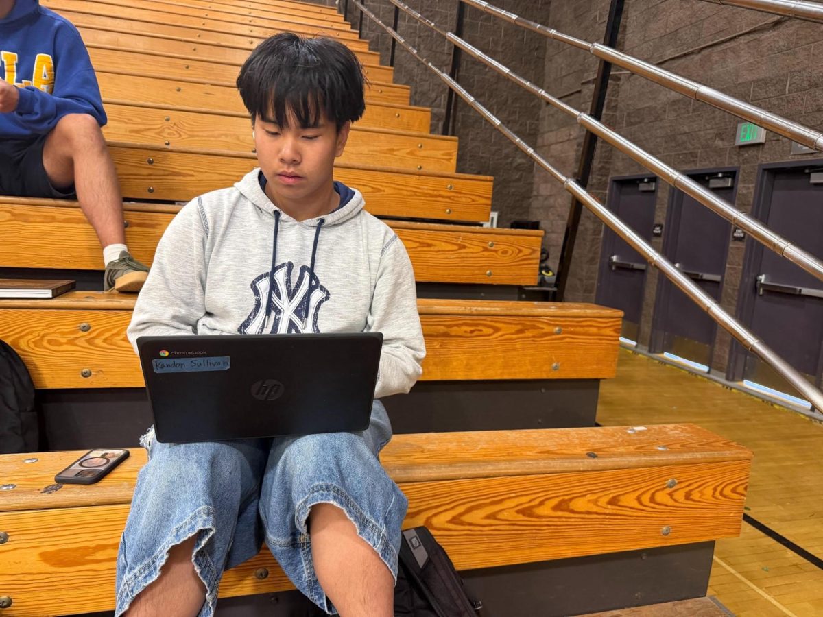 Why are More SLOHS Students Choosing to do Summer School?
