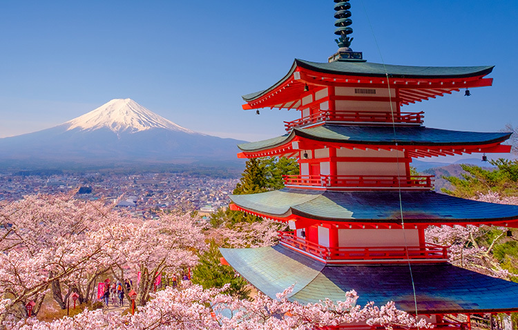 Sushi, Shrines, Skylines: SLOHS Students Are Flying to Japan with Cameron